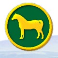 Avlsmål - Welsh Pony & Cob Society